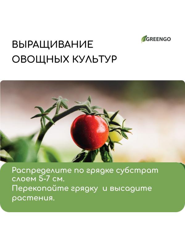 Субстрат кокосовый в брикете, 4 л, 30% чипсы и 70% торф, Greengo