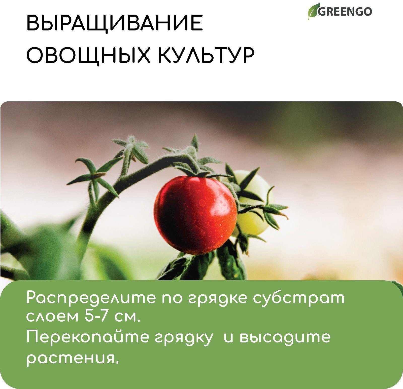 Субстрат кокосовый в брикете, 7 л, 30% чипсы и 70% торф, Greengo