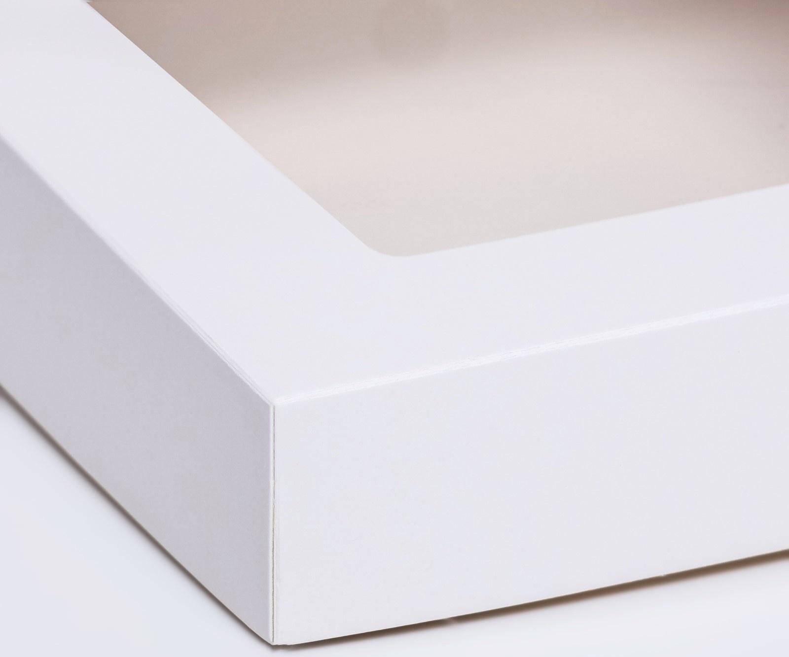 Контейнер на вынос, с окном, белый, 20 х 20 х 4 см