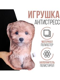 Антистресс игрушка 