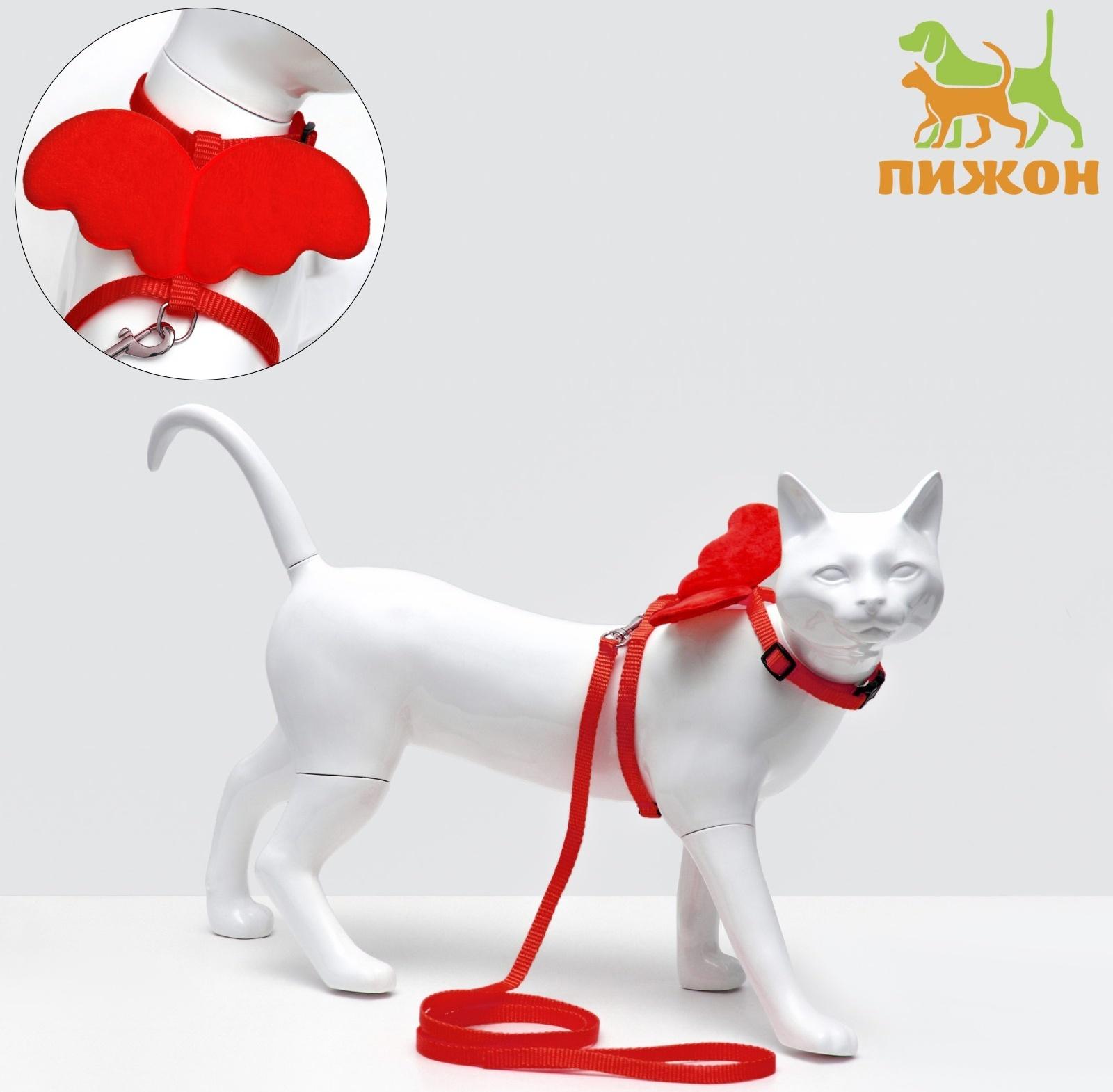 Комплект амуниции 