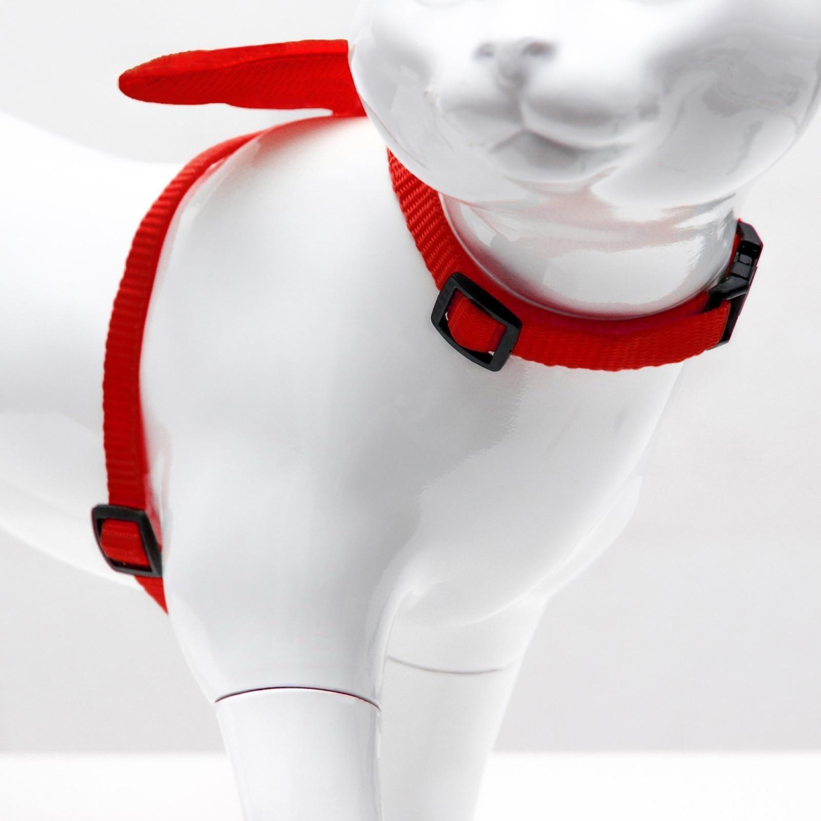 Комплект амуниции 