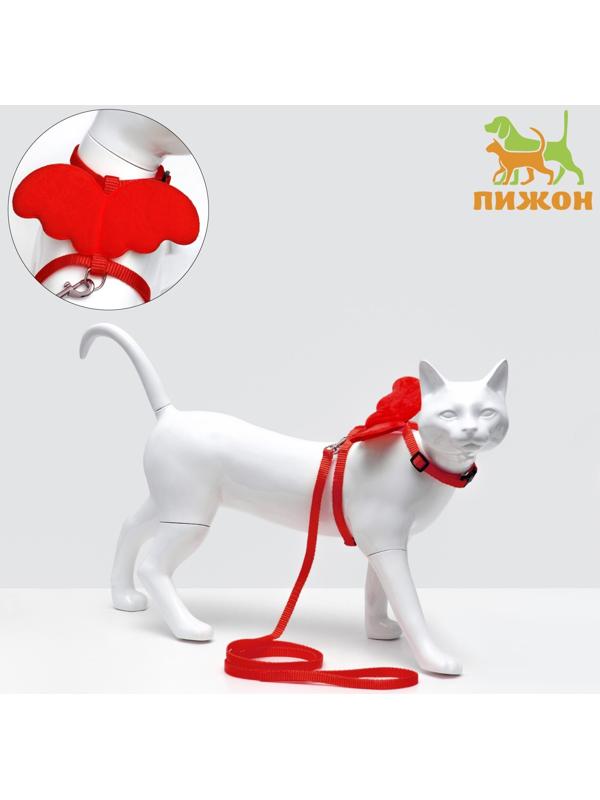 Комплект амуниции 