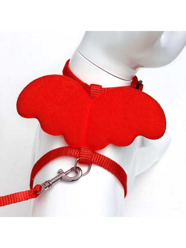 Комплект амуниции 