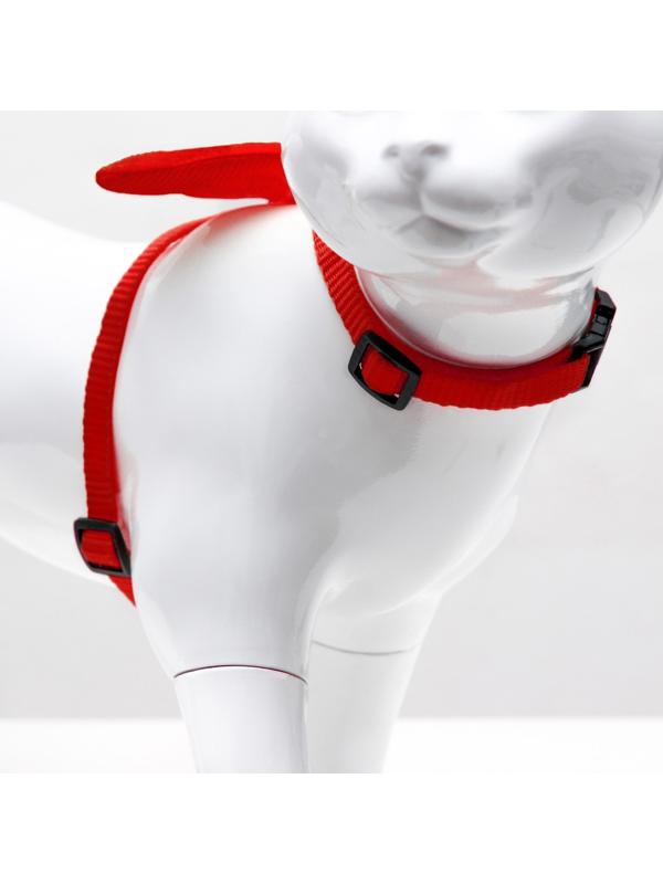 Комплект амуниции 