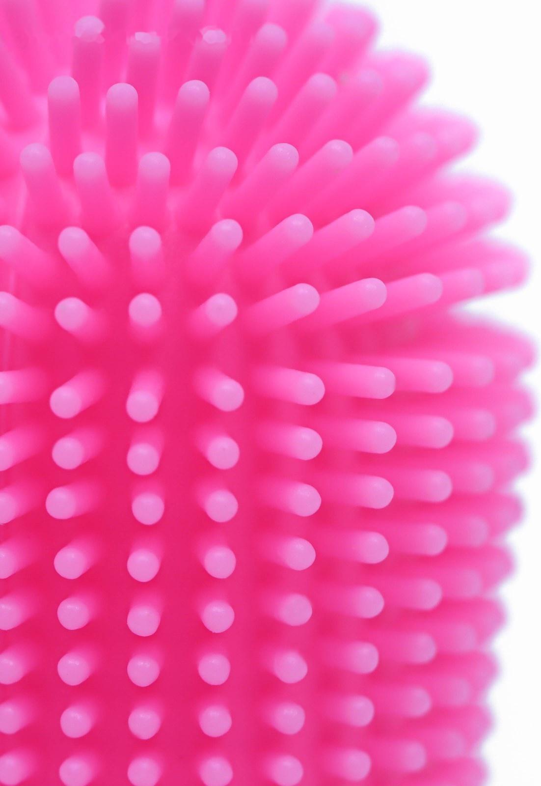 Щётка для чистки зубов животных, 5,5 х 2,5 см, розовая, контейнер 7 х 4 см