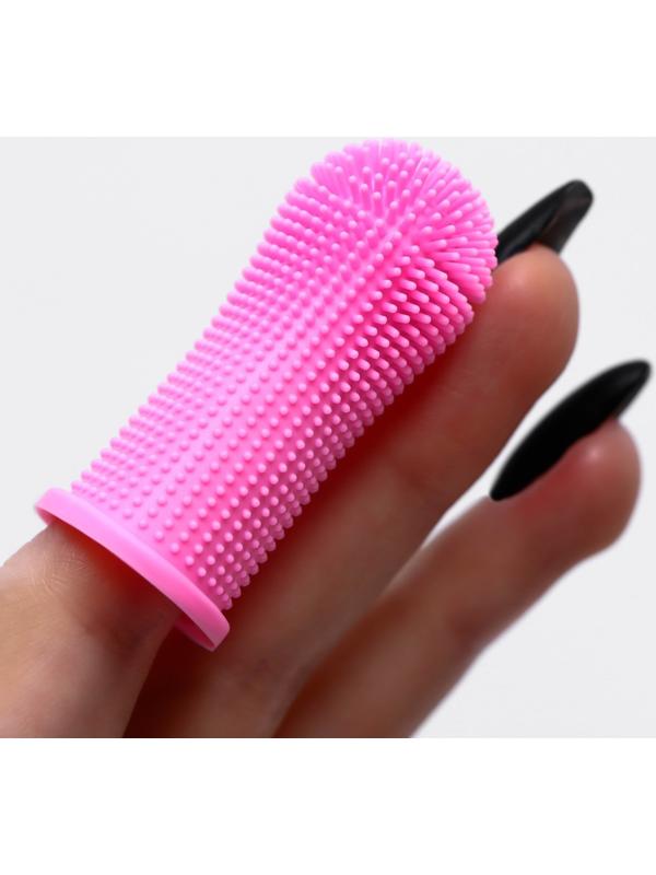 Щётка для чистки зубов животных, 5,5 х 2,5 см, розовая, контейнер 7 х 4 см