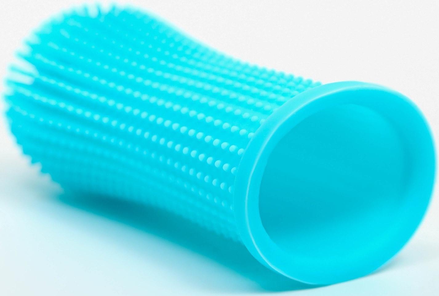 Щётка для чистки зубов животных, 5,5 х 2,5 см, голубая, контейнер 7 х 4 см