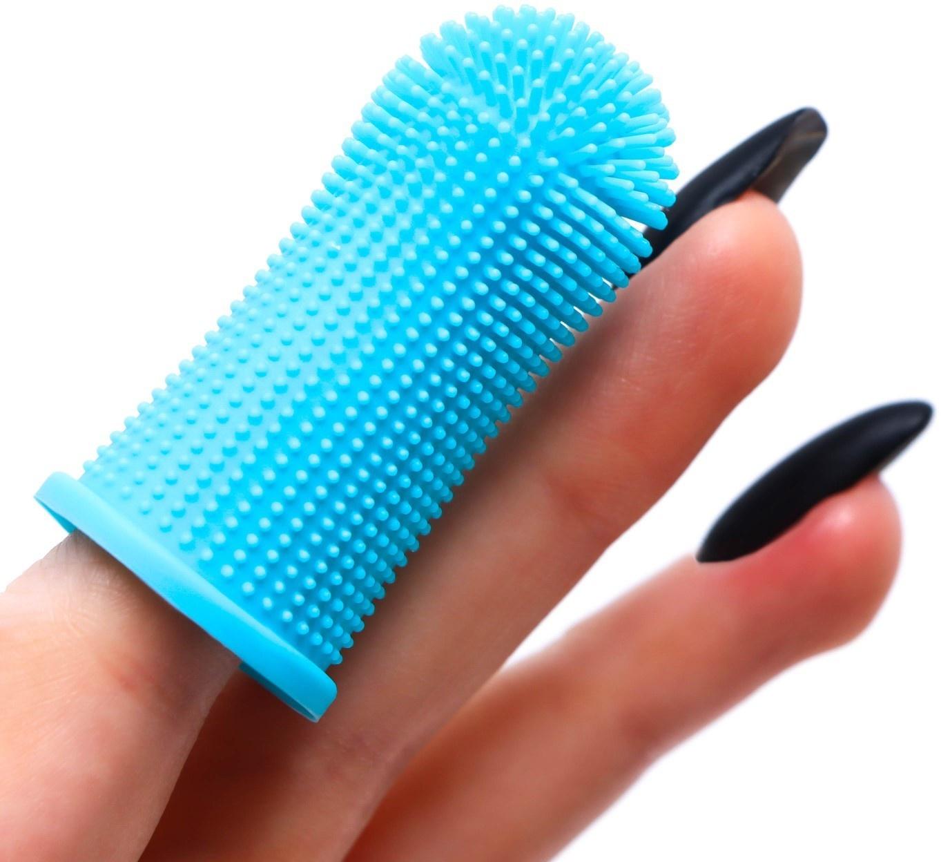 Щётка для чистки зубов животных, 5,5 х 2,5 см, голубая, контейнер 7 х 4 см