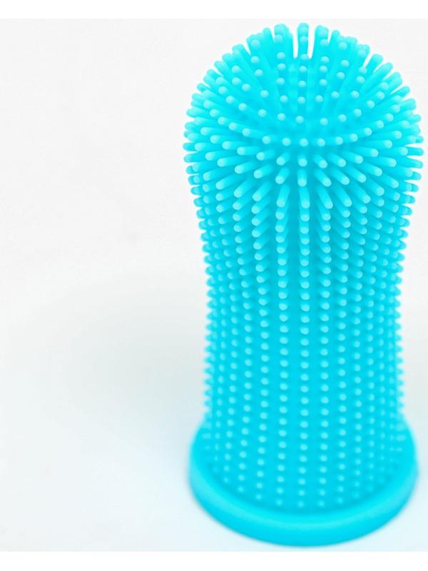 Щётка для чистки зубов животных, 5,5 х 2,5 см, голубая, контейнер 7 х 4 см