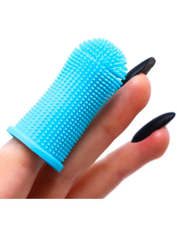 Щётка для чистки зубов животных, 5,5 х 2,5 см, голубая, контейнер 7 х 4 см