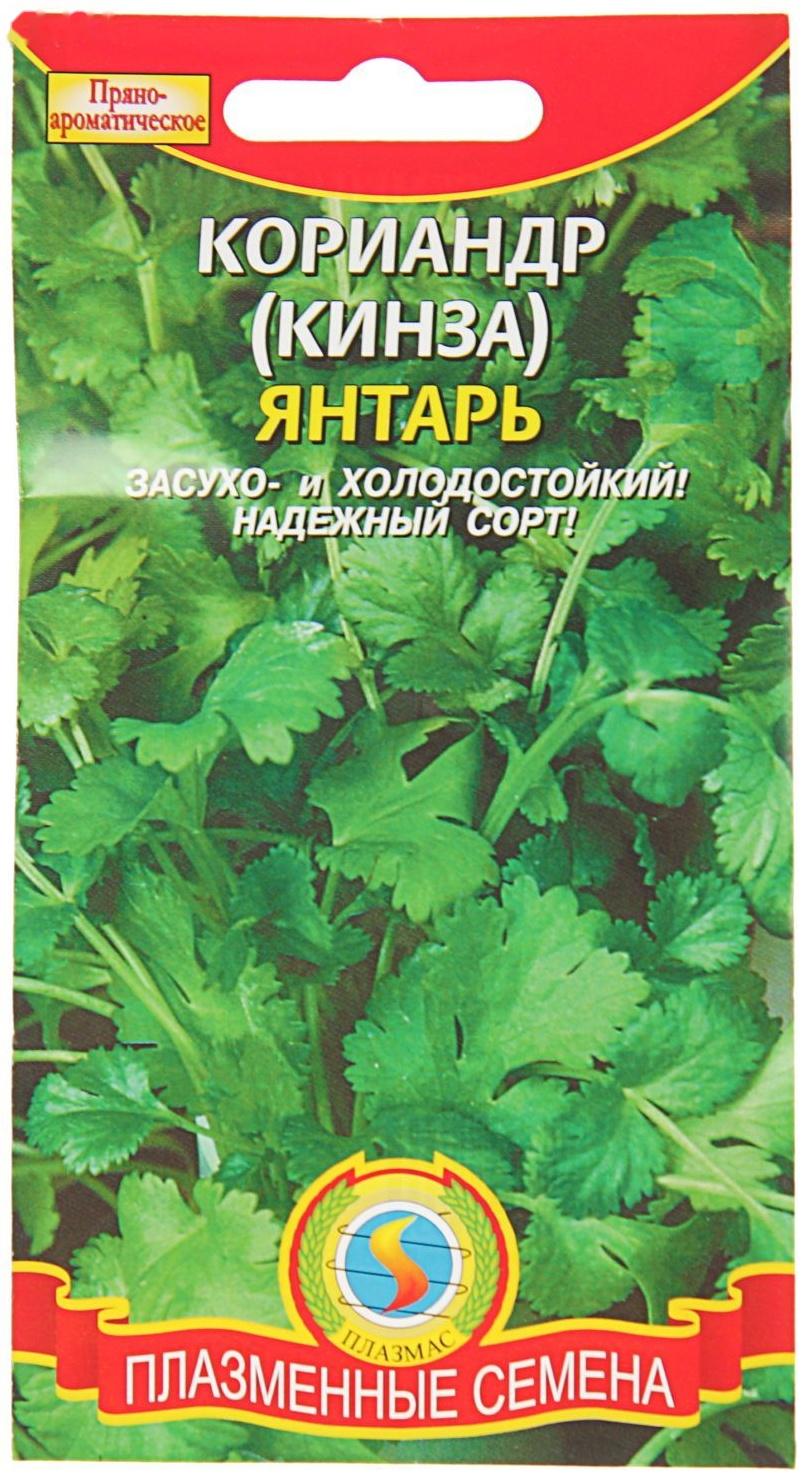 Семена Кориандр (кинза) 
