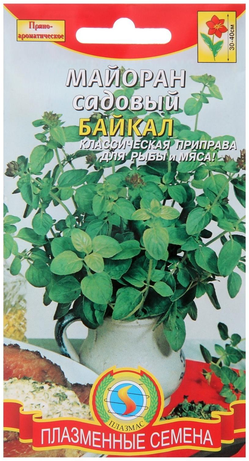 Семена Майоран садовый 
