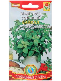 Семена Майоран садовый 