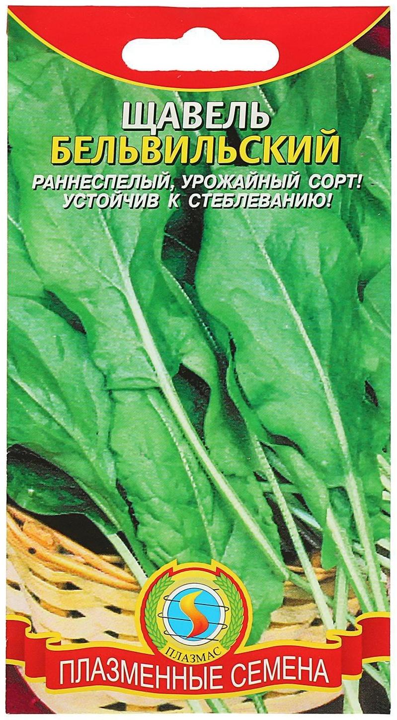 Семена Щавель 