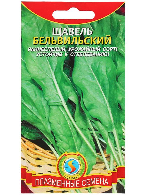 Семена Щавель 