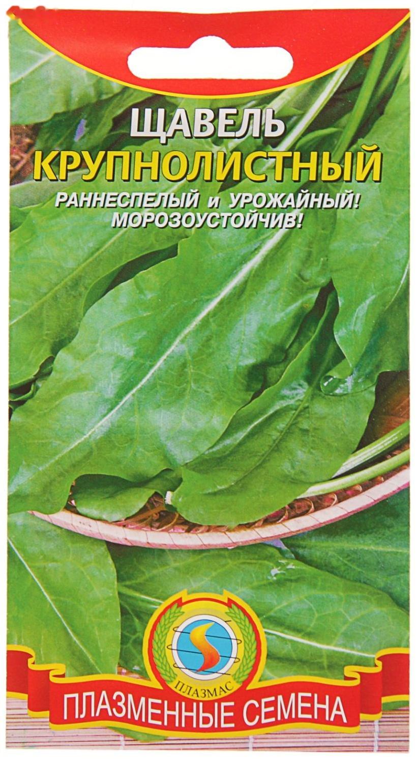 Семена Щавель 