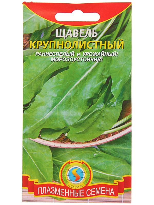 Семена Щавель 