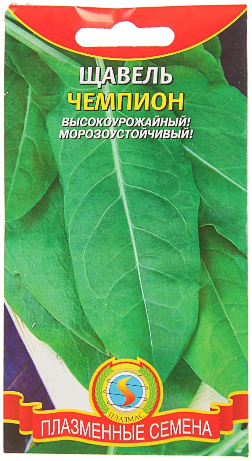 Семена Щавель 