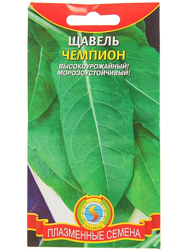 Семена Щавель 