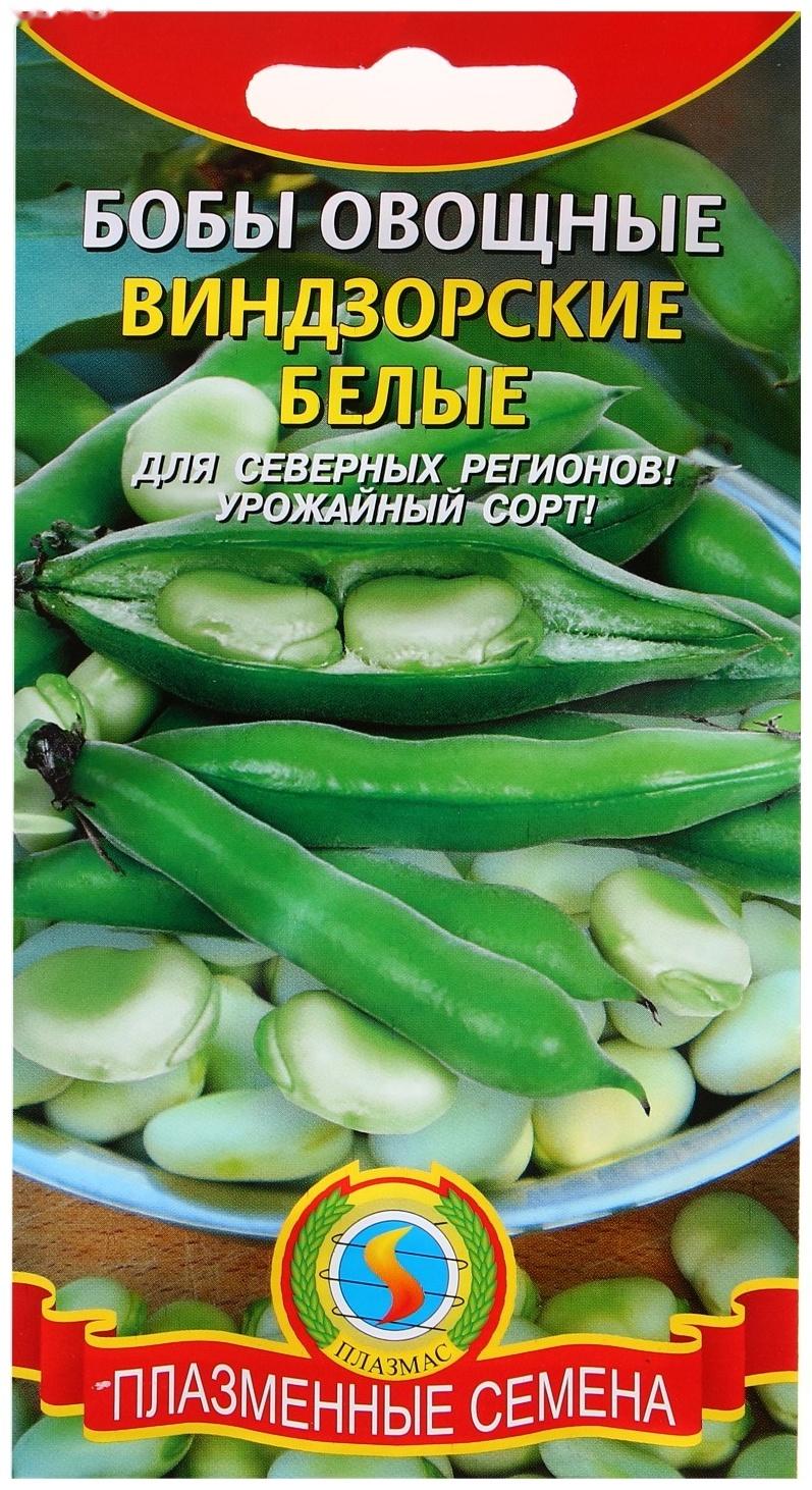 Семена Бобы 