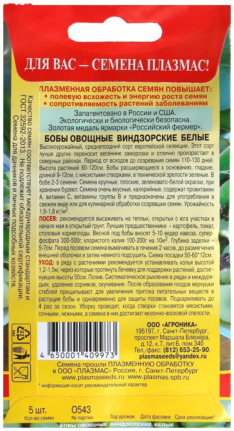 Семена Бобы 