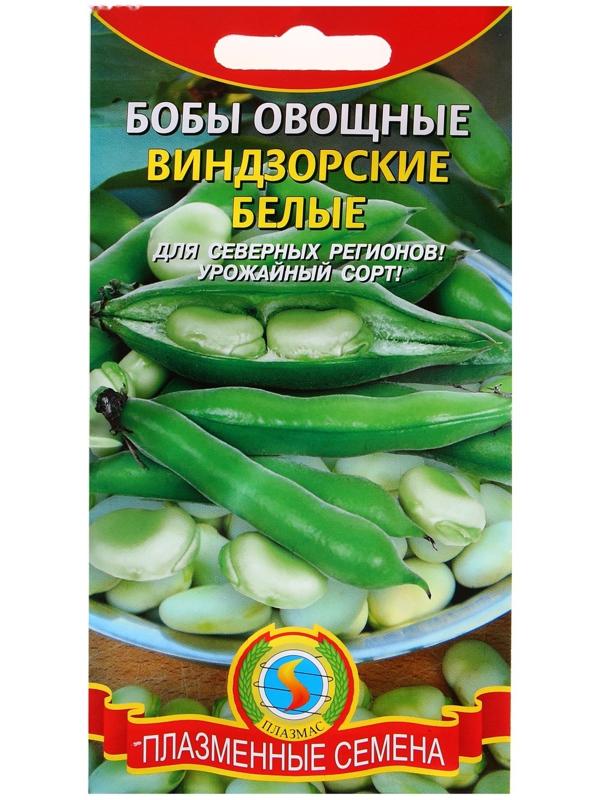 Семена Бобы 