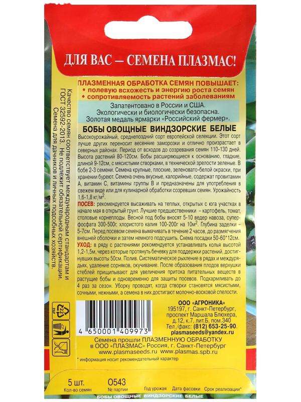 Семена Бобы 