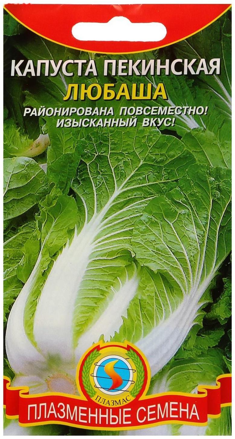 Семена Капуста пекинская 