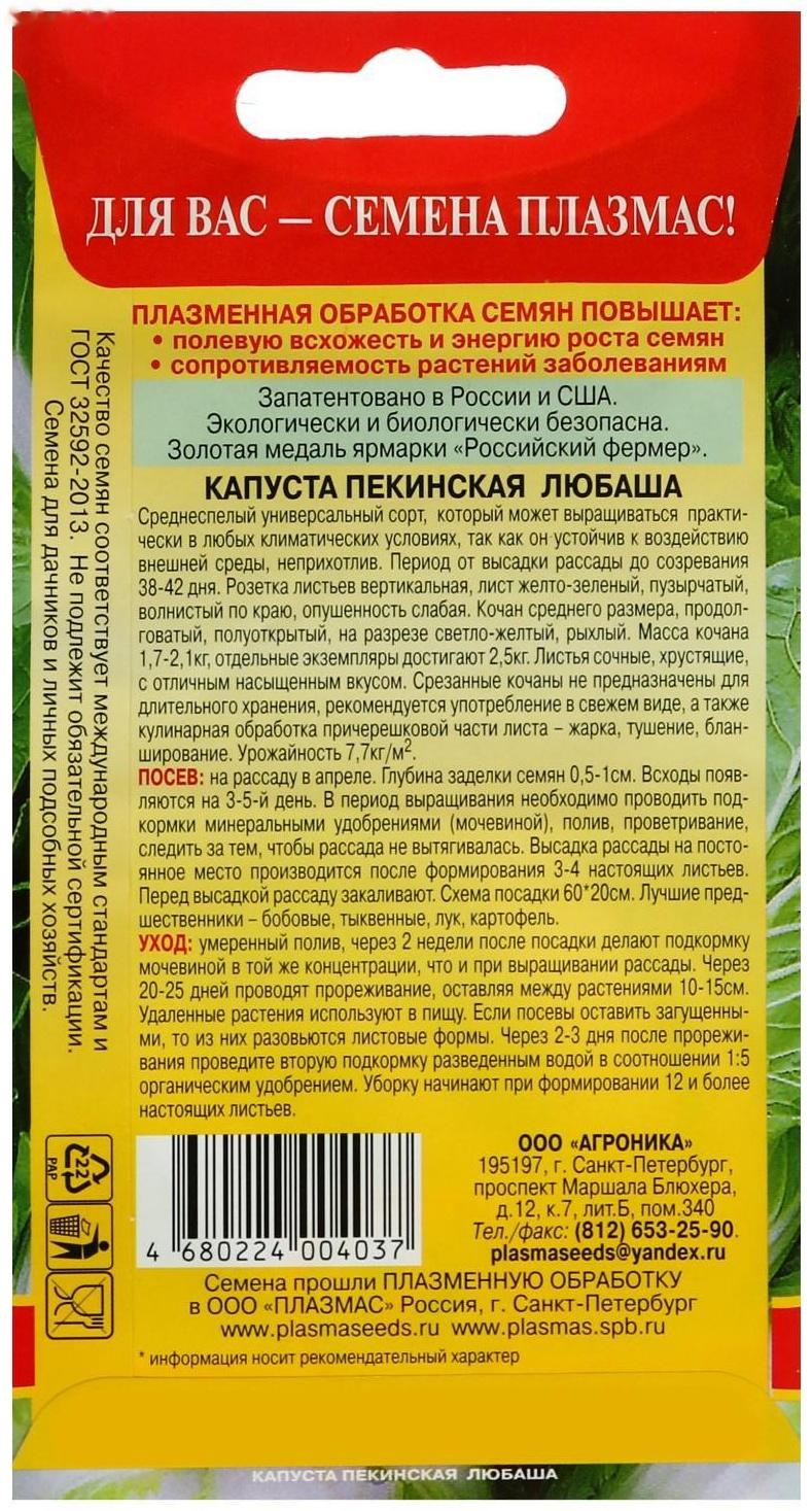 Семена Капуста пекинская 