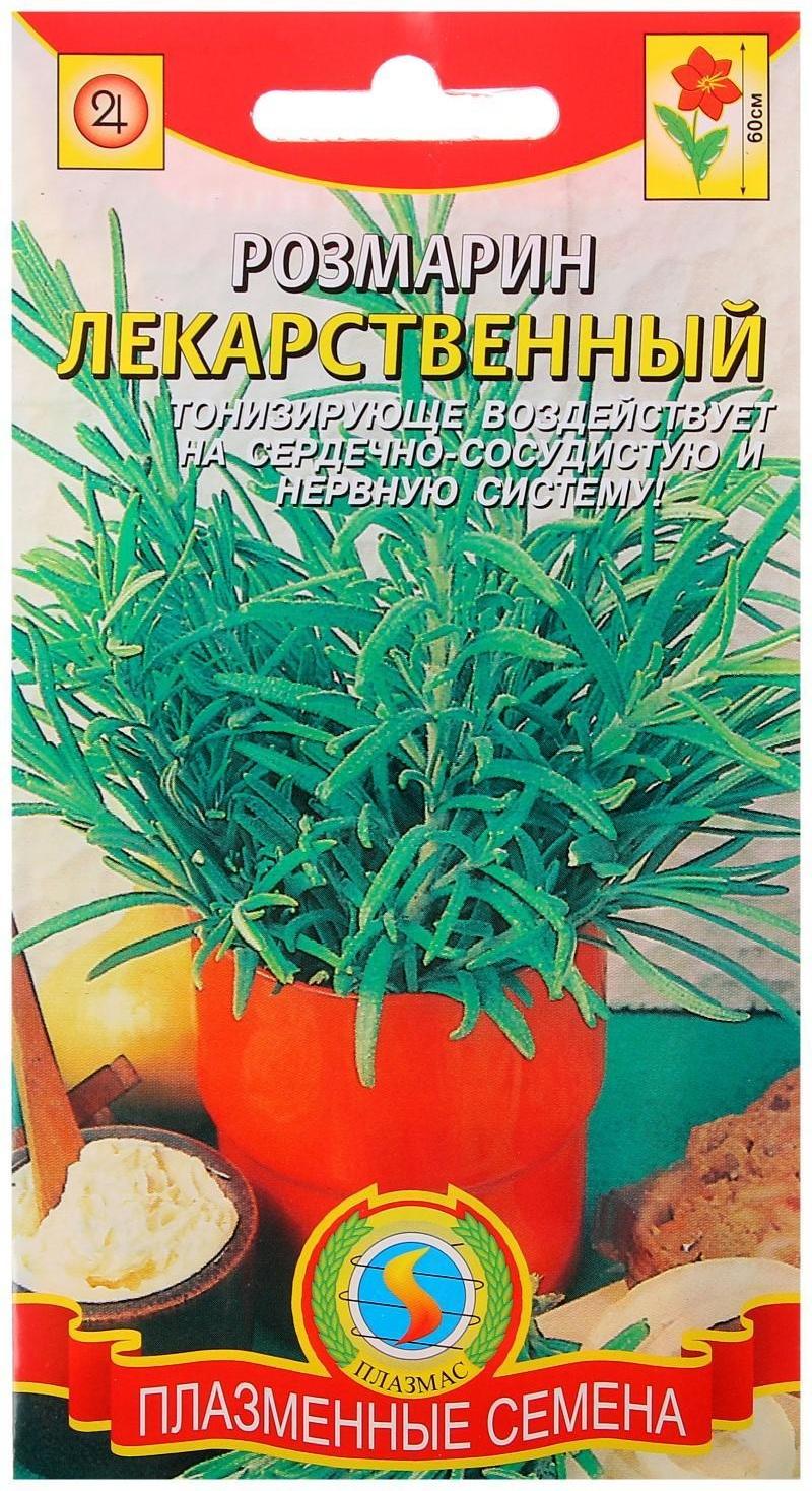 Семена Розмарин лекарственный, 20 шт