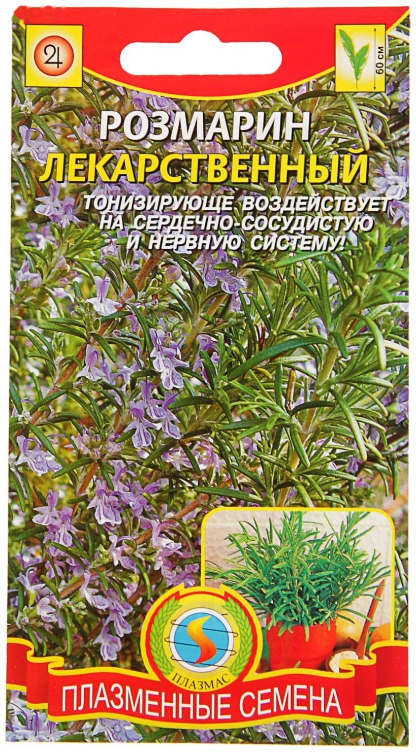 Семена Розмарин лекарственный, 20 шт