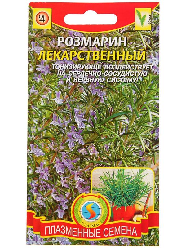 Семена Розмарин лекарственный, 20 шт