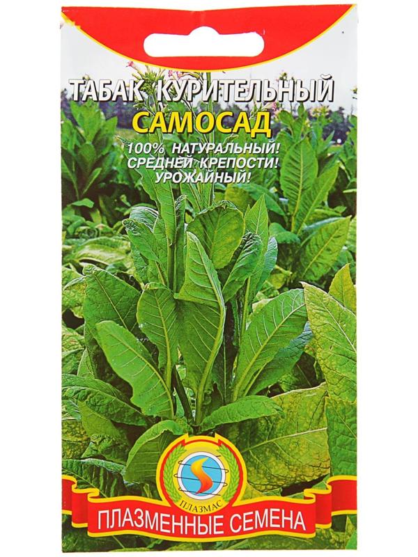 Семена Табак курительный 