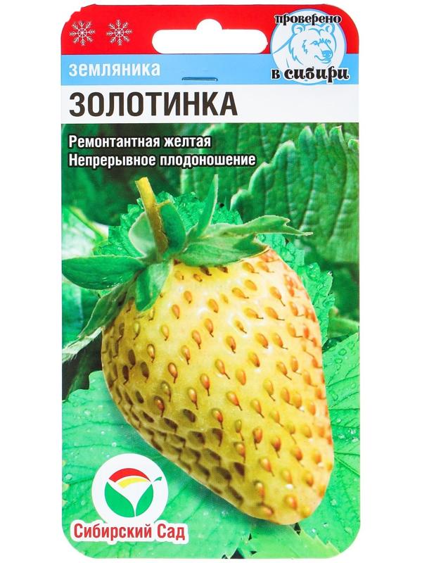 Семена Земляника 