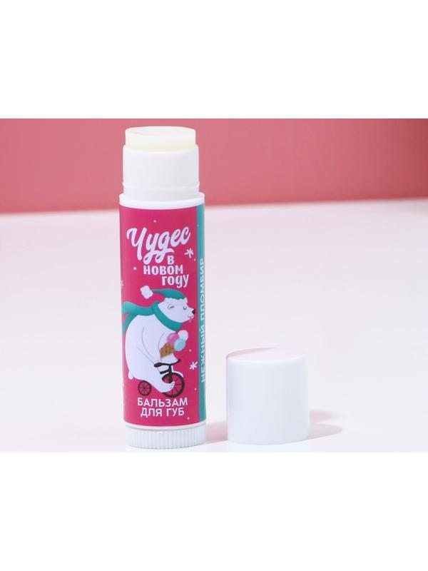 Подарочный набор «Верь в чудеса!», 2 бальзама для губ