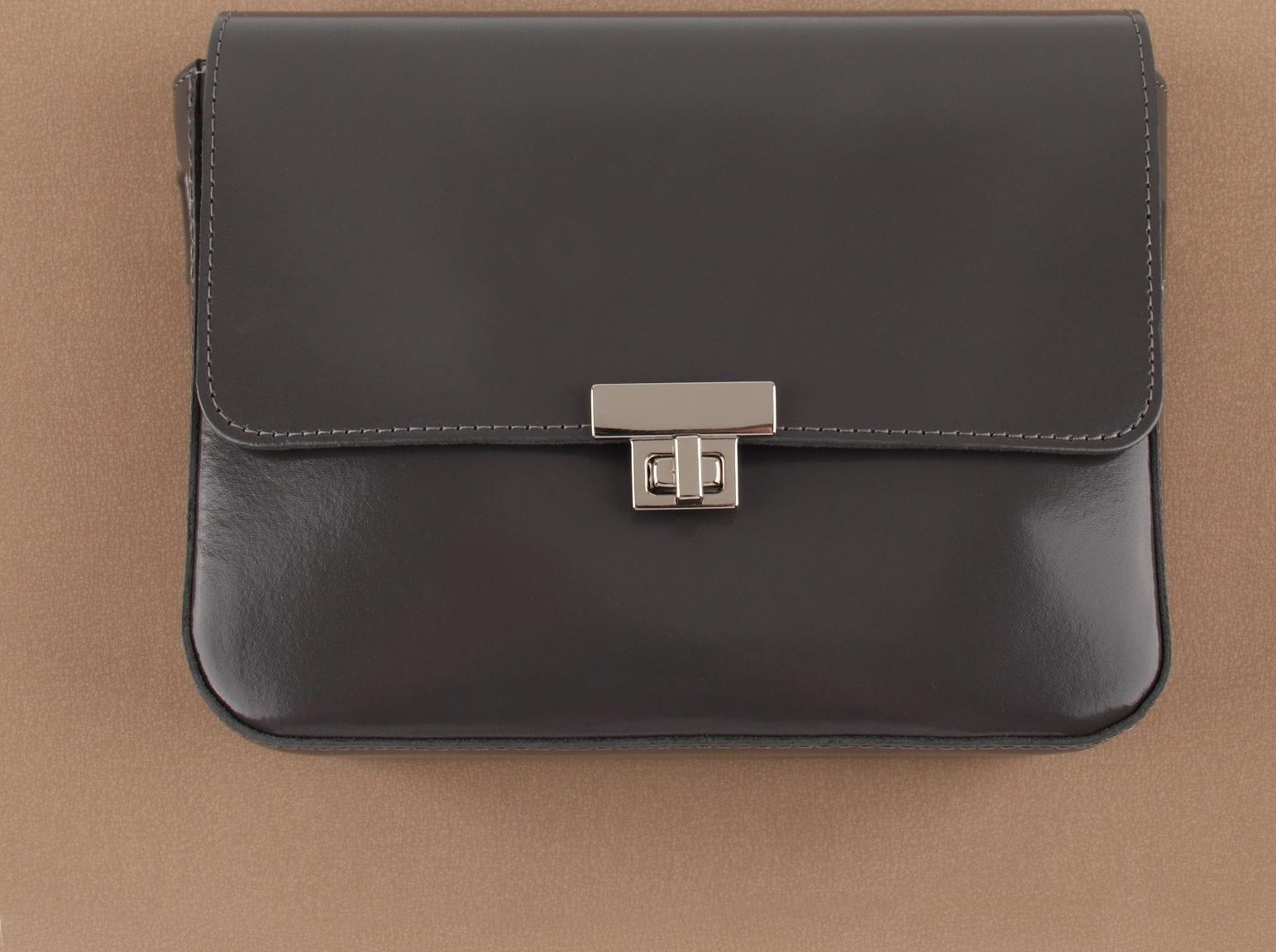 Застёжка для сумки, 3,9 × 2,6 см, цвет жемчужный серебряный