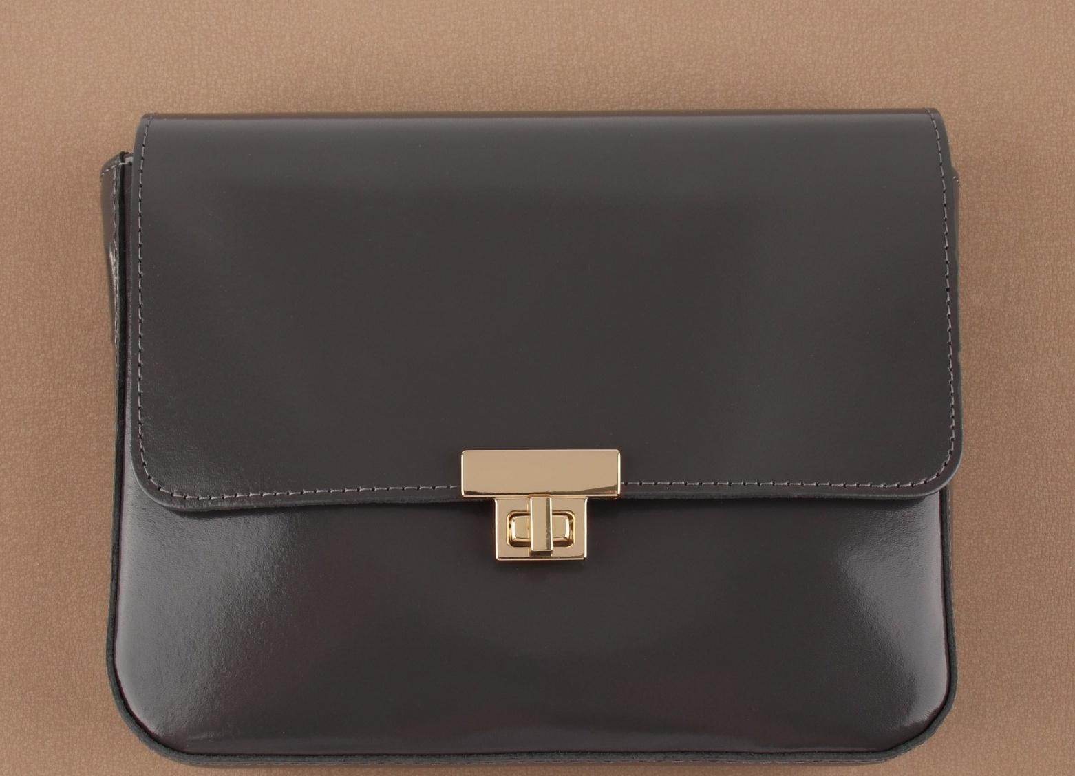 Застёжка для сумки, 3,9 × 2,6 см, цвет золотой