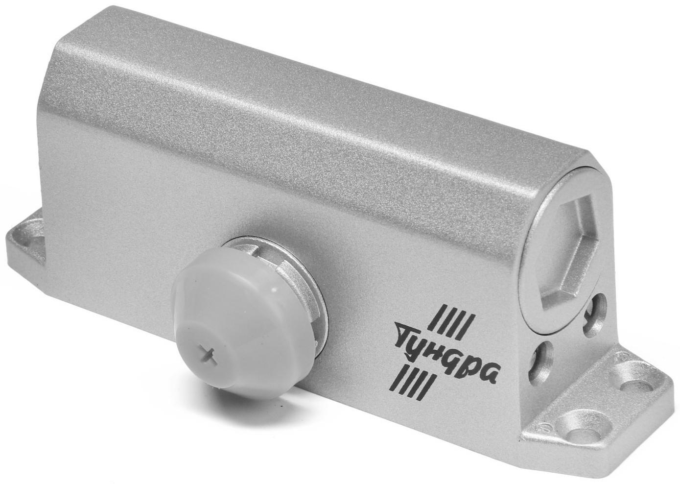 Доводчик дверей ТУНДРА G051  морозостойкий, до -50, до 45, цвет серебро