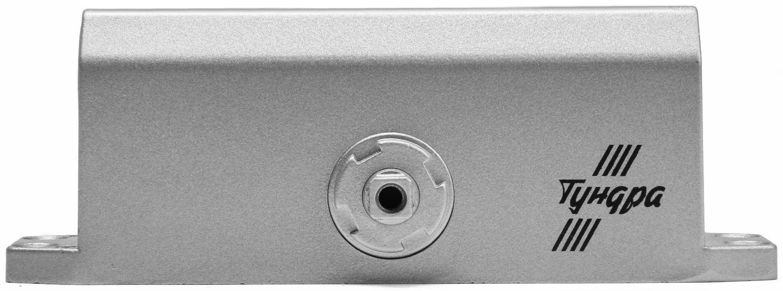 Доводчик дверей ТУНДРА G062  морозостойкий, до -50, до 65, цвет серебро