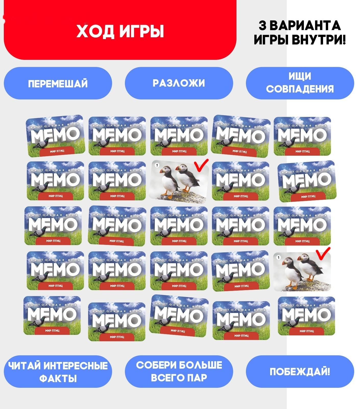 Мемо «Мир птиц»