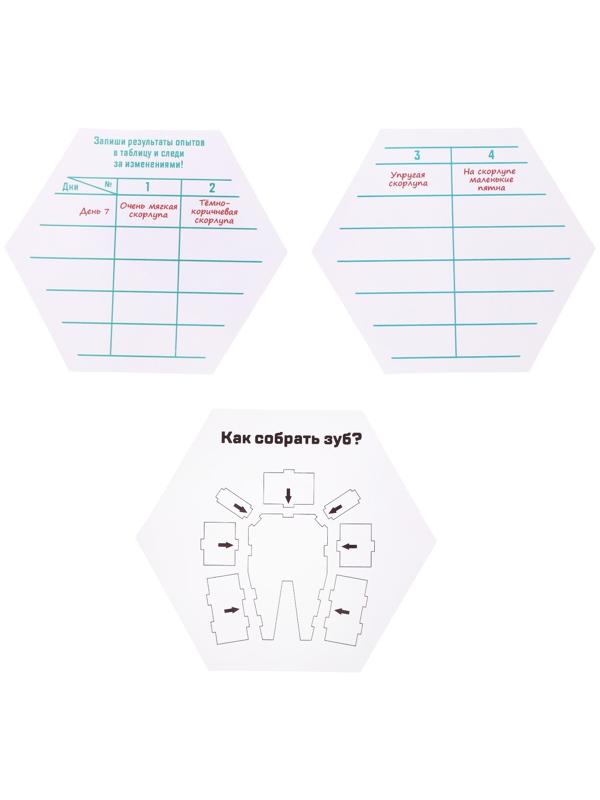 Набор для опытов «Зачем мы чистим зубы?», в пакете