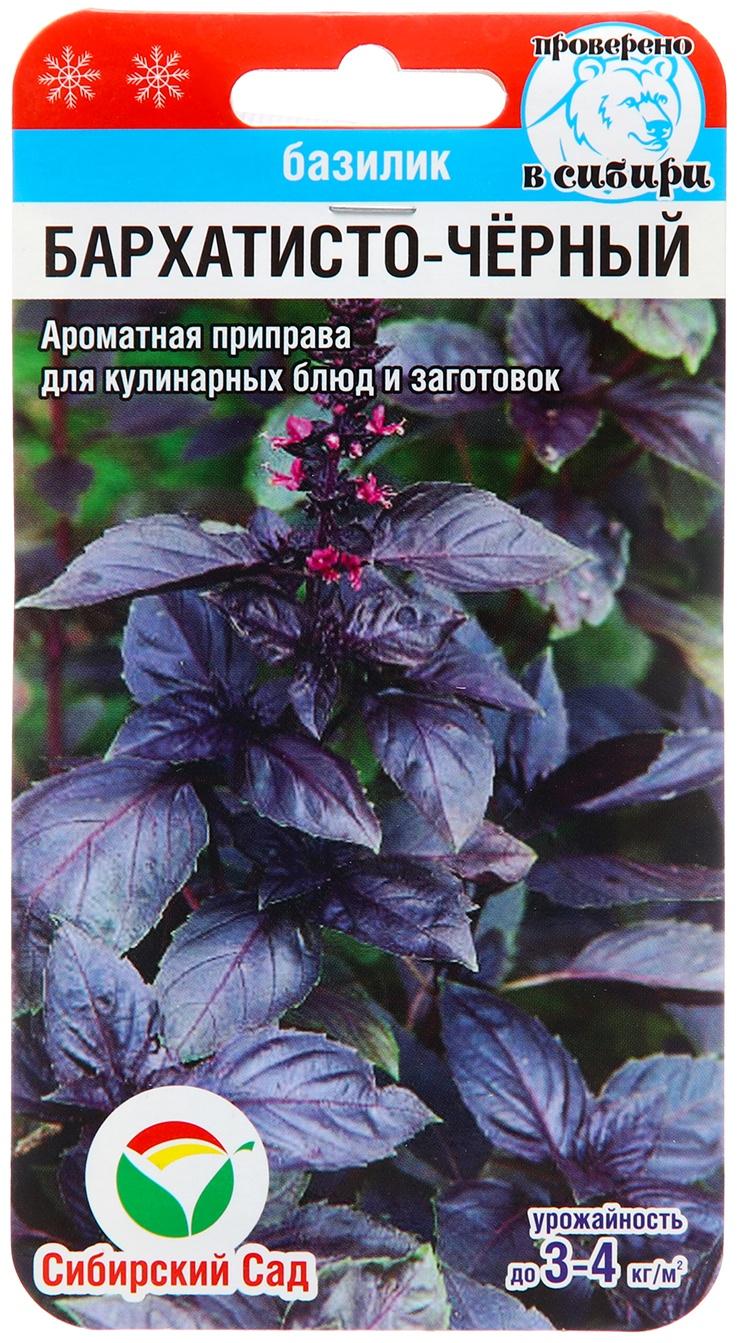 Семена Базилик Бархатисто-черный , 0,5 г