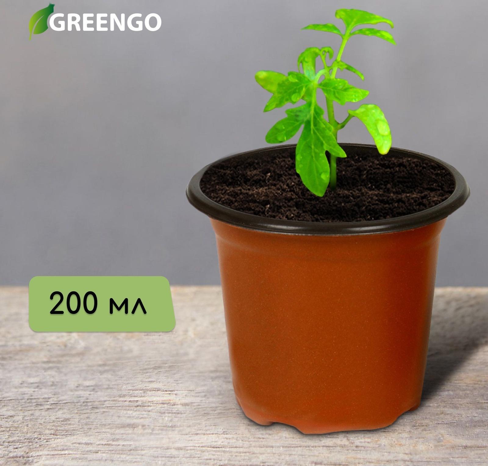 Горшок для рассады Greengo 200 мл, d = 8,5 см, h = 7,5 см, терракот / 20 шт.