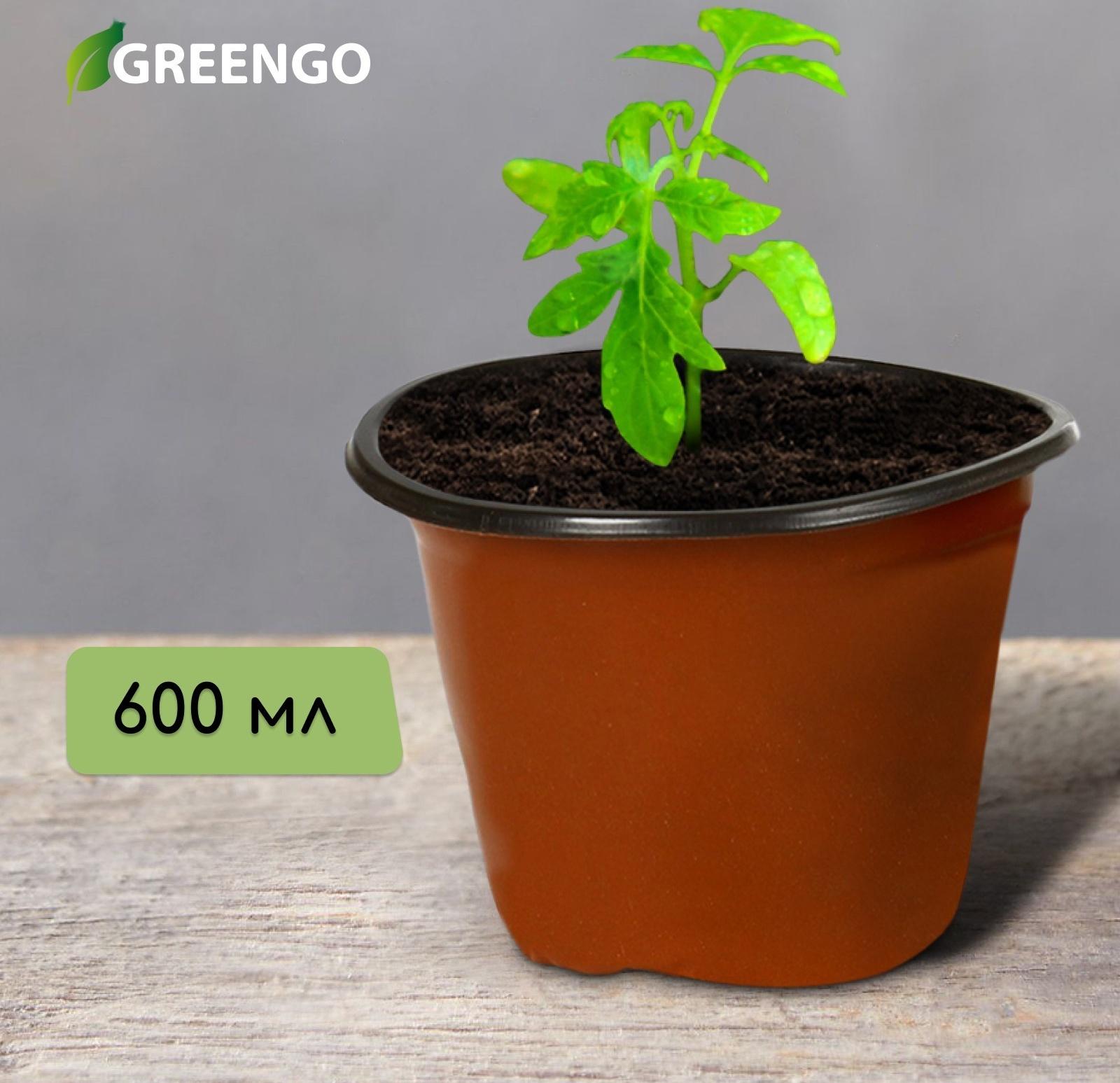Горшок для рассады, 600 мл, d = 10 см, h = 8 см, терракот, Greengo
