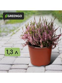 Горшок для рассады, 1,3 л, d = 14 см, h = 12 см, терракот, Greengo