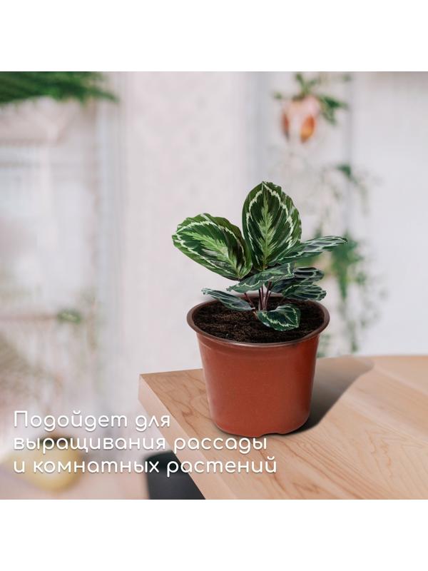 Горшок для рассады, 1,3 л, d = 14 см, h = 12 см, терракот, Greengo