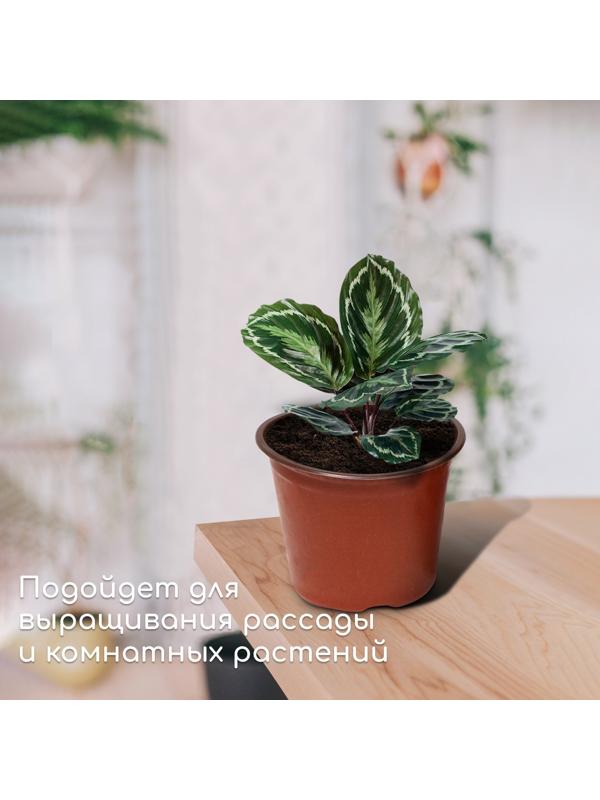 Горшок для рассады, 1,56 л, d = 16 см, h = 13 см, терракот, Greengo