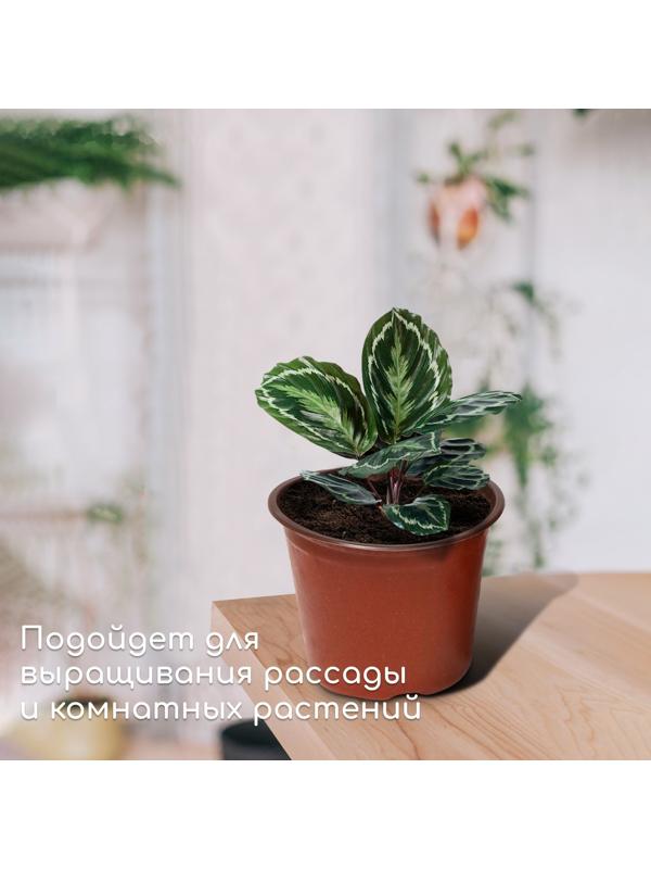 Горшок для рассады, 2 л, d = 16 см, h = 15 см, терракот, Greengo