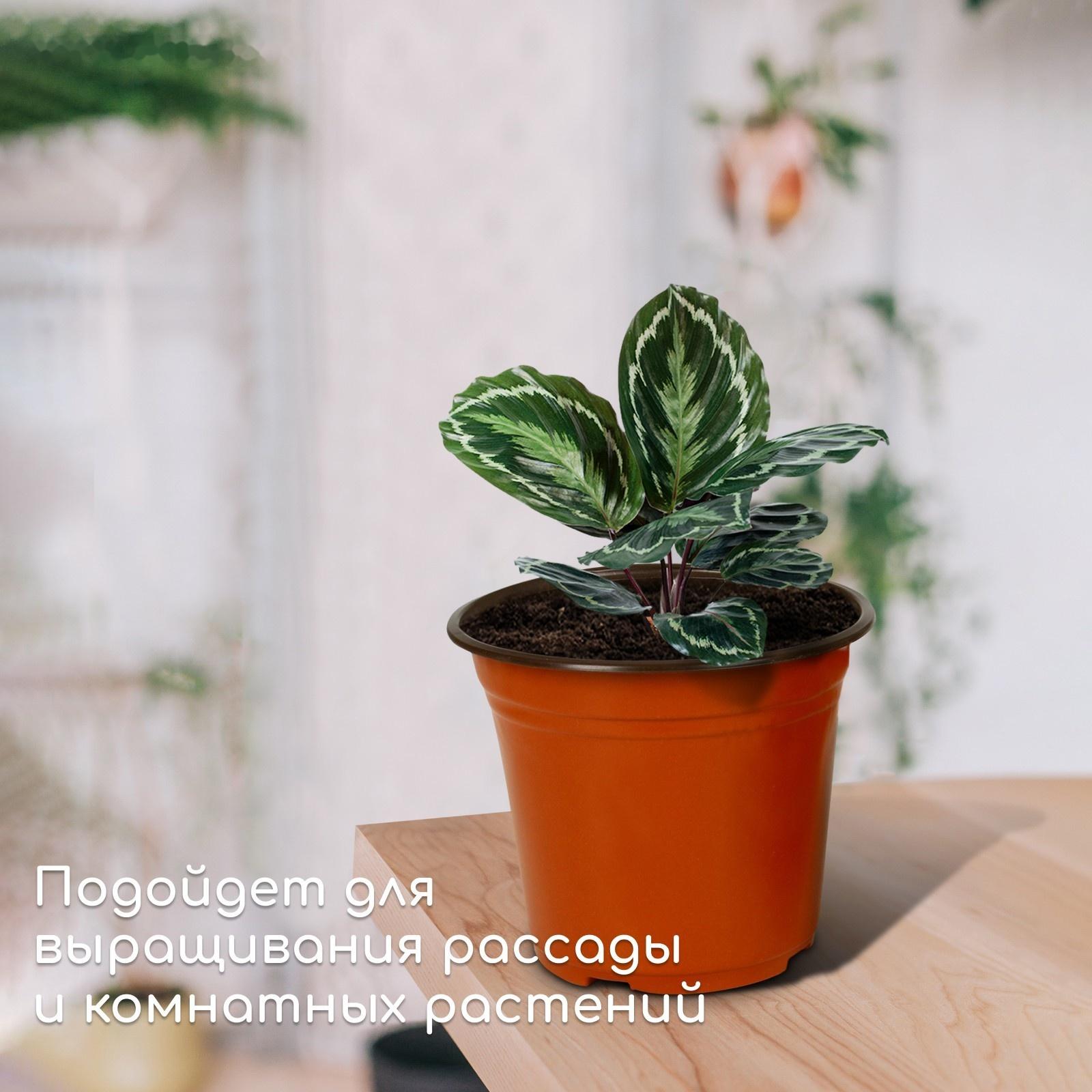 Горшок для рассады, 2,5 л, d = 18 см, h = 17 см, терракот, Greengo